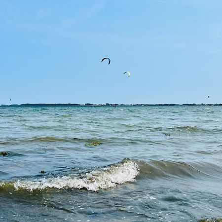 Strandlaeufer غيتلينغ المظهر الخارجي الصورة