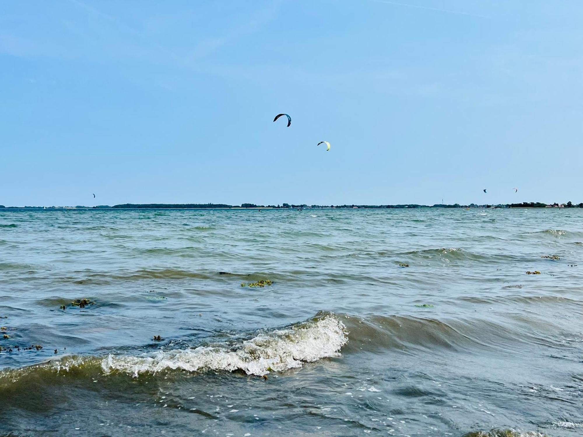 Strandlaeufer غيتلينغ المظهر الخارجي الصورة